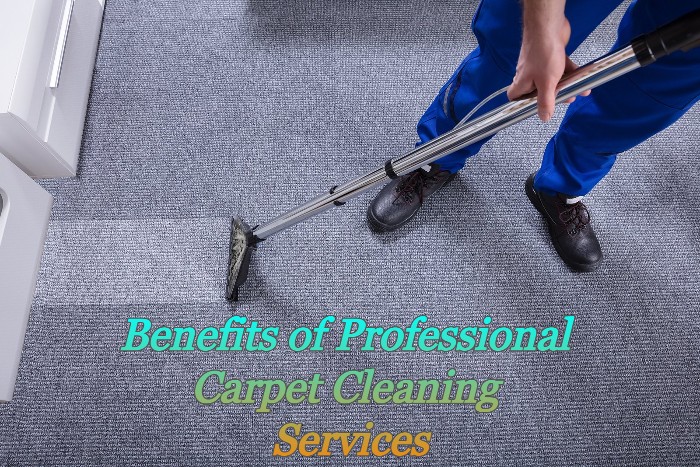 Benefits of Professional Carpet Cleaning Services