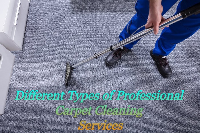 Different Types of Professional Carpet Cleaning Services