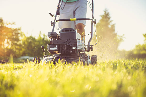 Grass Cutter Machine