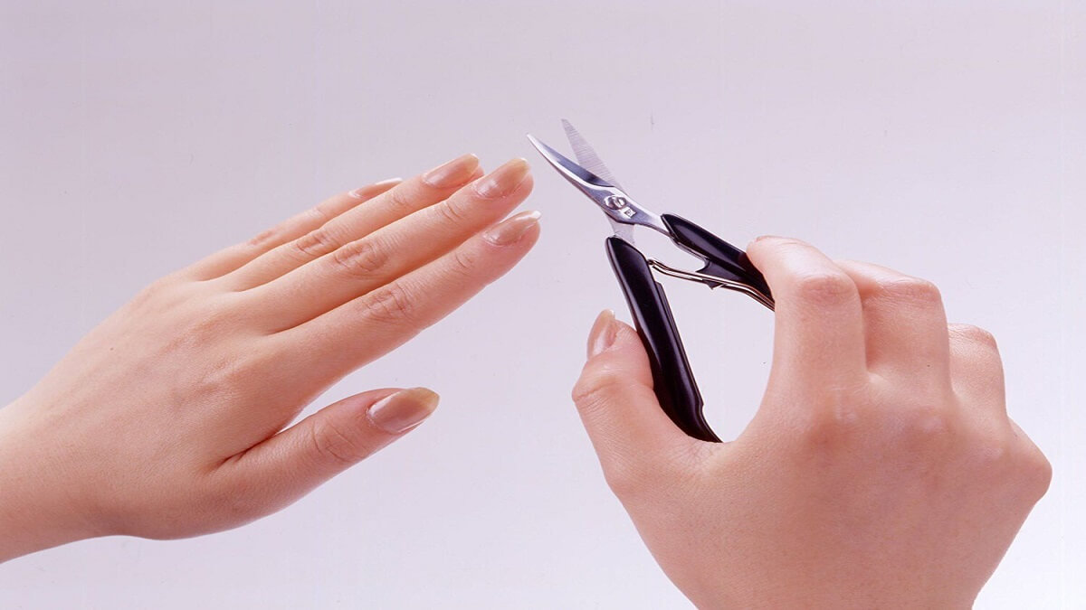 Nail Scissor