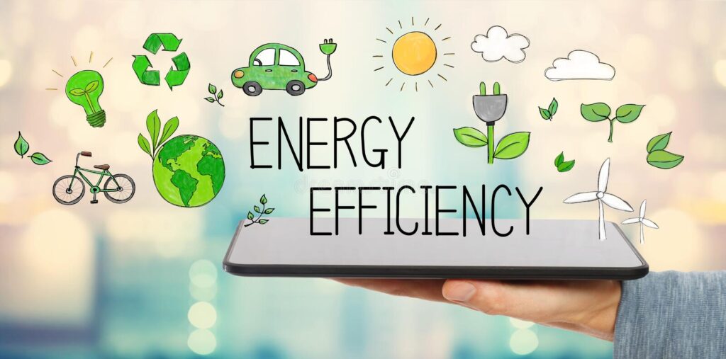 The Role of Energy Providers in Promoting Energy Efficiency